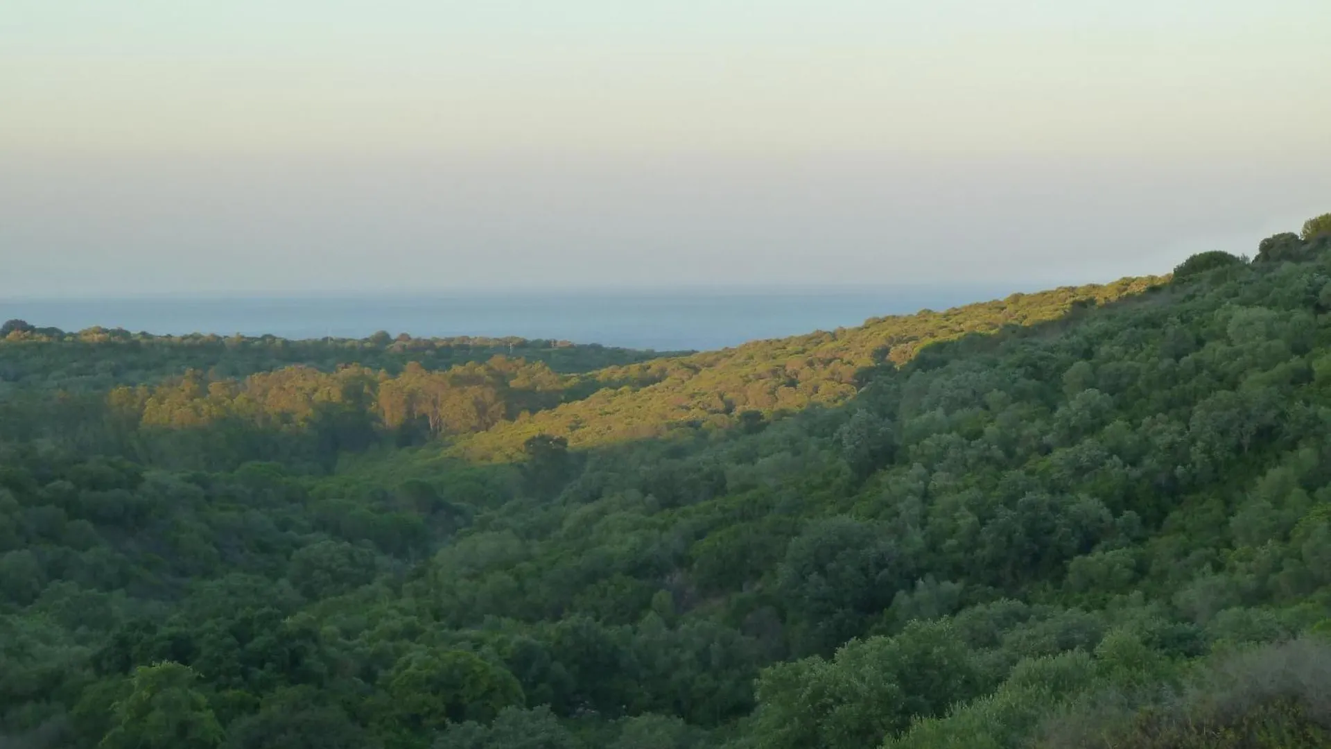 Apartamento Alcaidesa golf&nature San Roque